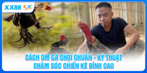 Cách Om Gà Chọi Chuẩn - Kỹ Thuật Chăm Sóc Chiến Kê Tốt