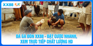 Đá Gà Đòn XX88 - Đặt Cược Nhanh, Xem Trực Tiếp Chất Lượng HD